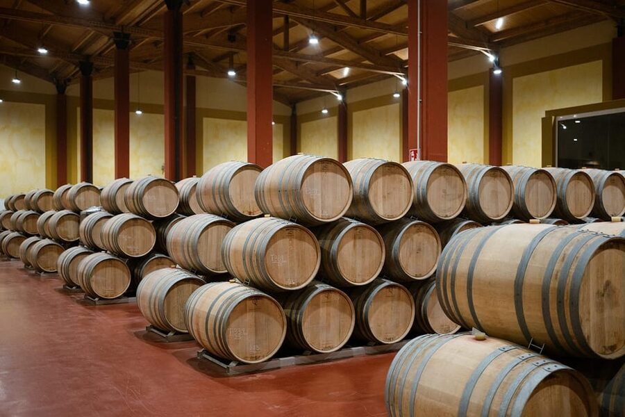 Ribera del Duero: Experience, vineyard, and 4x4 ride, plus an aperitif and tasting. - Key points at a glance