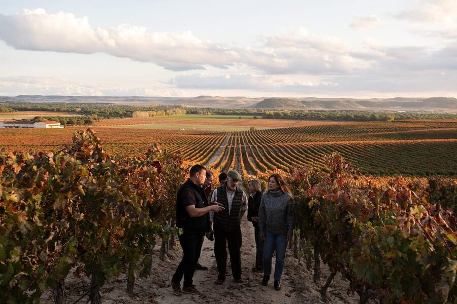 Ribera del Duero: Experience, vineyard, and 4x4 ride, plus an aperitif and tasting. - Why the viewpoint makes the ride worthwhile