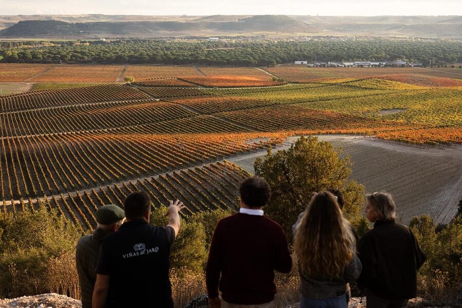 Ribera del Duero: Experience, vineyard, and 4x4 ride, plus an aperitif and tasting. - Who will enjoy this experience most?