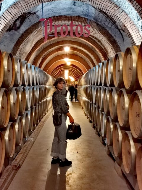 Ribera del Duero wine region private tour - Key Points at a Glance