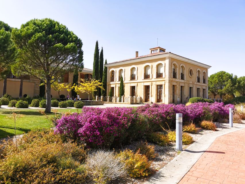Ribera del Duero wine region private tour - The Modern Winery and Its Underground Barrel Room