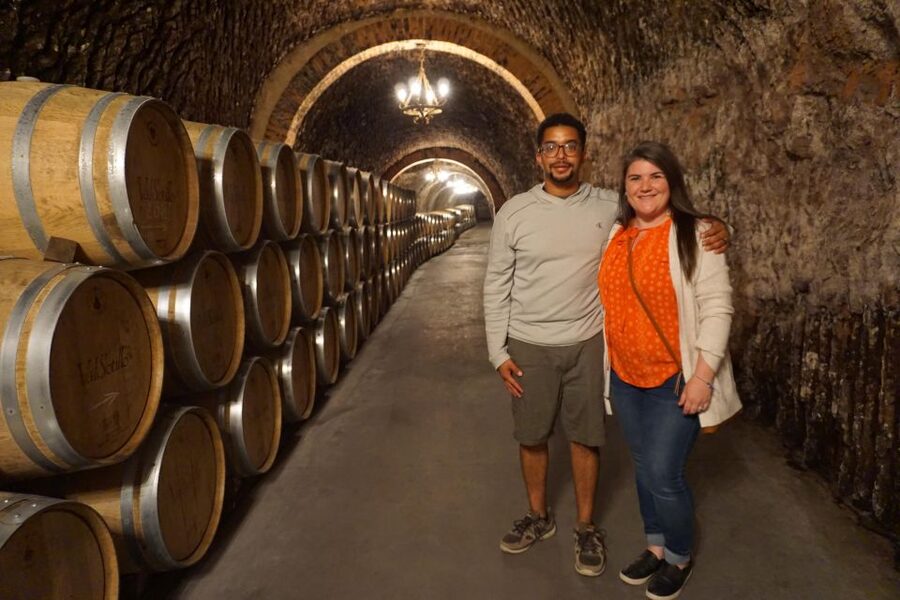 Ribera del Duero wine region private tour - The Sixteenth-Century Family Winery