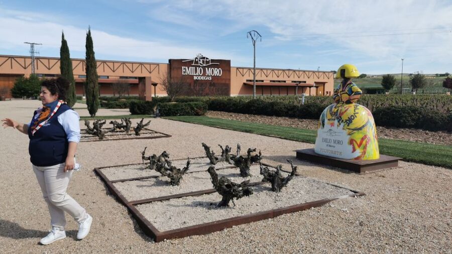 Ribera del Duero wine region private tour - Tempranillo, Barrels, and the Shape of the Tasting