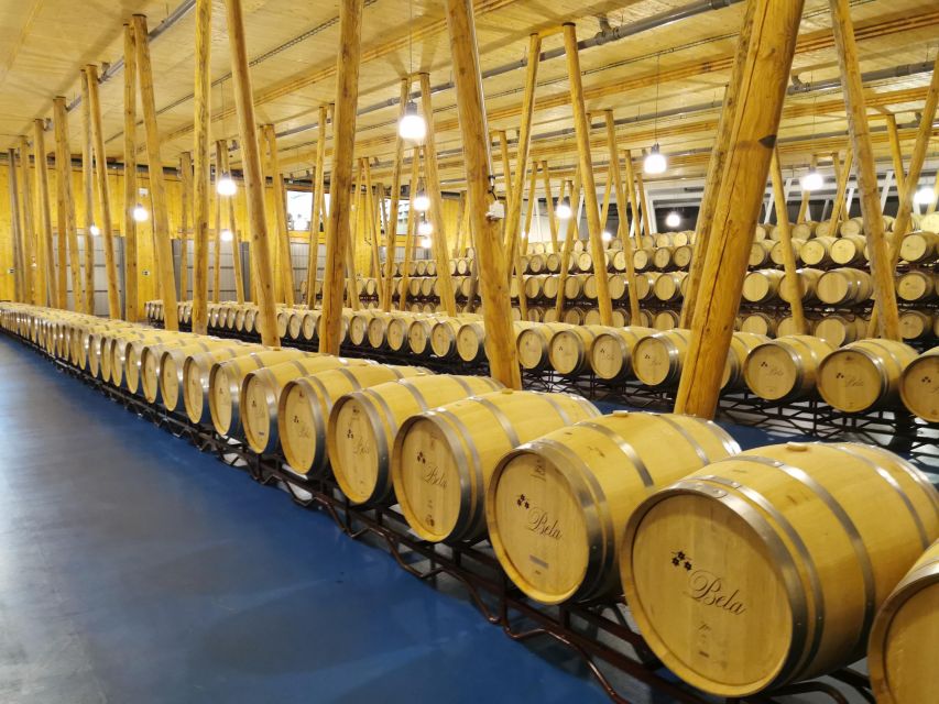 Ribera del Duero wine region private tour - A Castilian Lunch in a Small Village