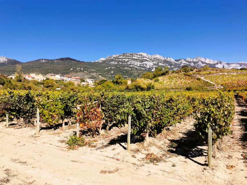 Ribera del Duero wine region private tour - Leaving Madrid in a Private Van