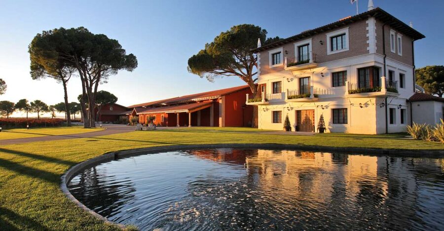 Ribera del Duero Winery Tour & Wine Tasting Near Valladolid - What makes this Ribera del Duero visit worth your time