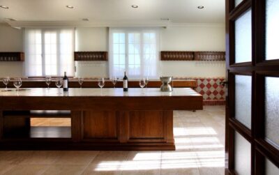 Ribera del Duero Winery Tour & Wine Tasting Near Valladolid