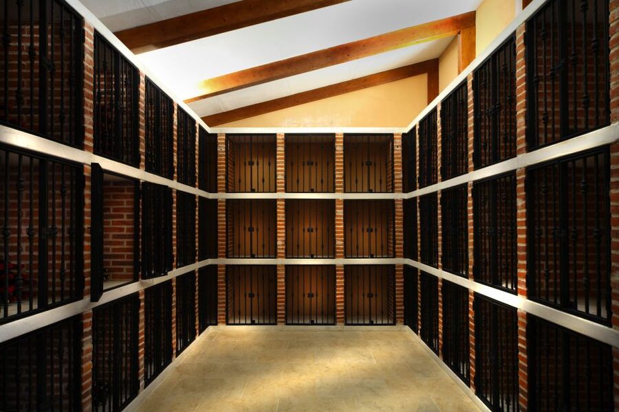 Ribera del Duero Winery Tour & Wine Tasting Near Valladolid - Tasting two wines with a small food pairing
