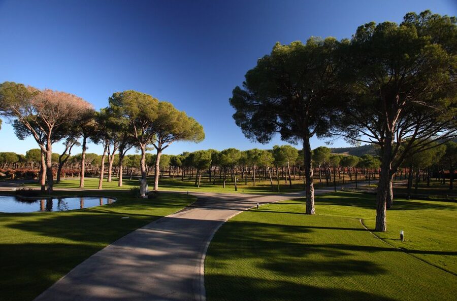 Ribera del Duero Winery Tour & Wine Tasting Near Valladolid - The 90-minute pace and practical limits