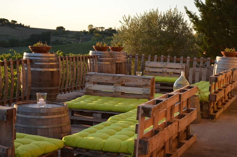 Rimini: San Valentino Vineyards Tour with DOC Wine Tastings - Key Points at a Glance