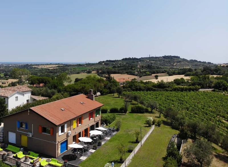 Rimini: San Valentino Vineyards Tour with DOC Wine Tastings - Tasting Five or Six Romagnoli Wines