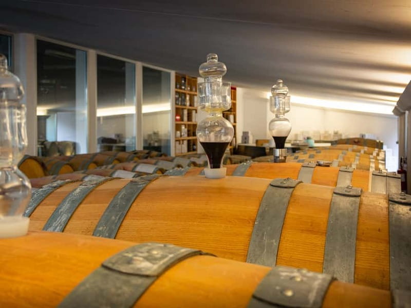 Rimini: San Valentino Vineyards Tour with DOC Wine Tastings - Should You Book It?