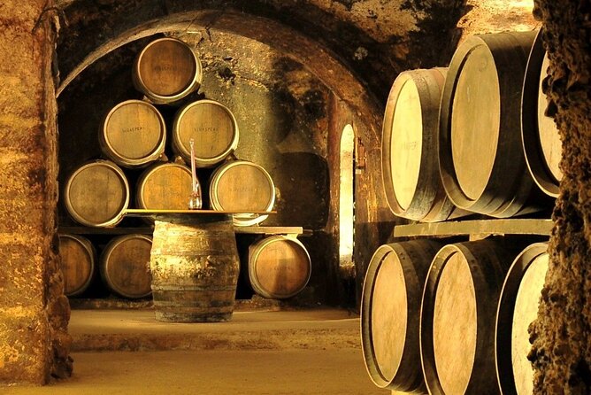 Rioja wine region with visit to winery & Vitoria-Gasteiz - Key points at a glance