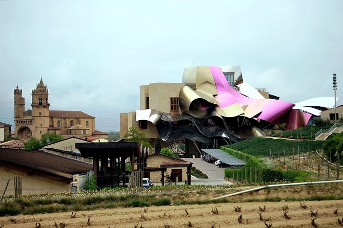 Rioja wine region with visit to winery & Vitoria-Gasteiz - The guide can shape the entire day