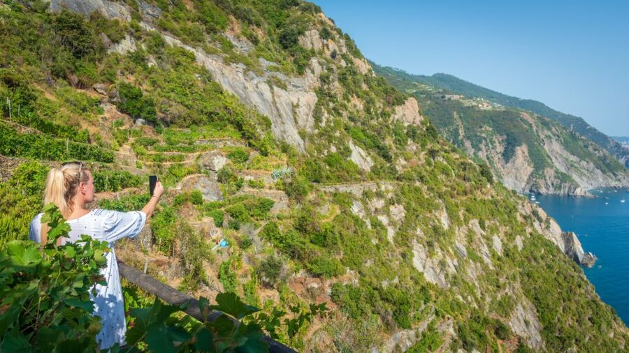 Riomaggiore: Vineyard & Wine Cellar Tour with Wine Tasting - Key points to know before booking