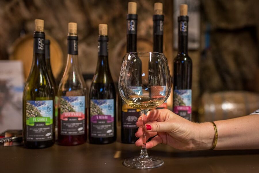 Riomaggiore: Vineyard & Wine Cellar Tour with Wine Tasting - Why Riomaggiore wine feels different