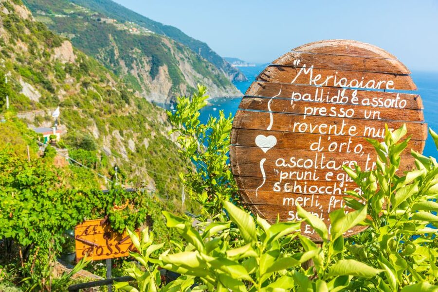 Riomaggiore: Vineyard & Wine Cellar Tour with Wine Tasting - The climb to the vertical vineyard