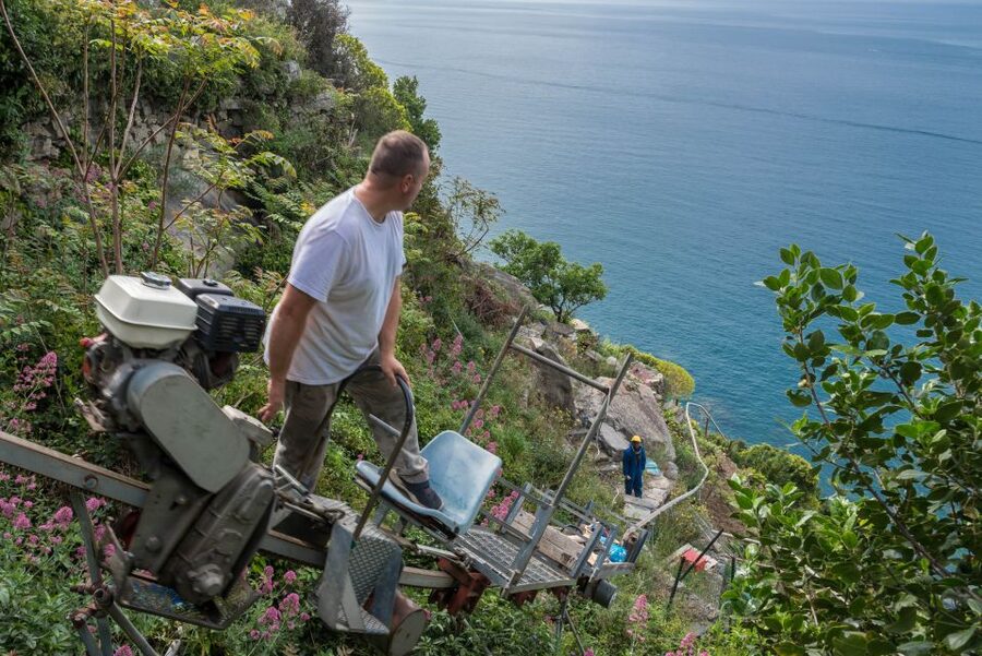 Riomaggiore: Vineyard & Wine Cellar Tour with Wine Tasting - Practical ways to get more from the visit