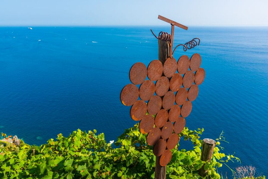 Riomaggiore: Vineyard & Wine Cellar Tour with Wine Tasting - Finding the meeting point in Riomaggiore