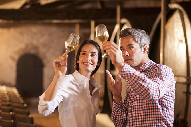 Rome: Frascati Private Day Trip - Town Tour, Lunch & Wine Tasting - Key Points at a Glance