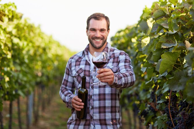 Rome: Frascati Private Day Trip - Town Tour, Lunch & Wine Tasting - Frascati’s Historic Center in 90 Minutes