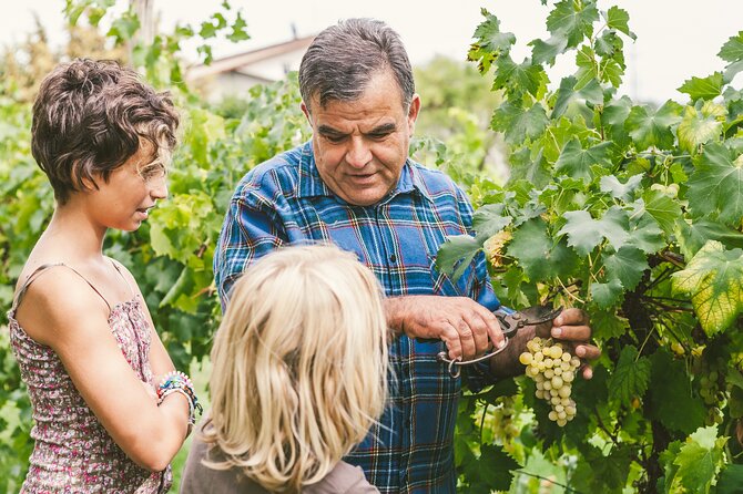 Rome: Frascati Private Day Trip - Town Tour, Lunch & Wine Tasting - What Comes with the Wine Tasting