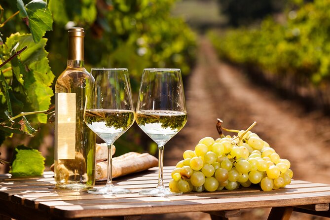 Rome: Frascati Private Day Trip - Town Tour, Lunch & Wine Tasting - Starting at Roma Termini