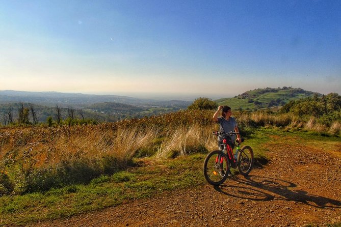 Rome: Frascati Vineyard Bike Tour with Train Tickets - Key points at a glance