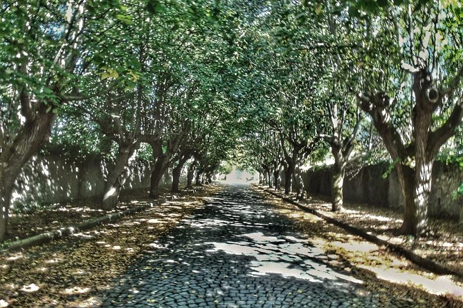 Rome: Frascati Vineyard Bike Tour with Train Tickets - Why Frascati makes a good break from Rome
