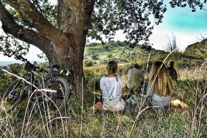 Rome: Frascati Vineyard Bike Tour with Train Tickets - The guide can make or break the day