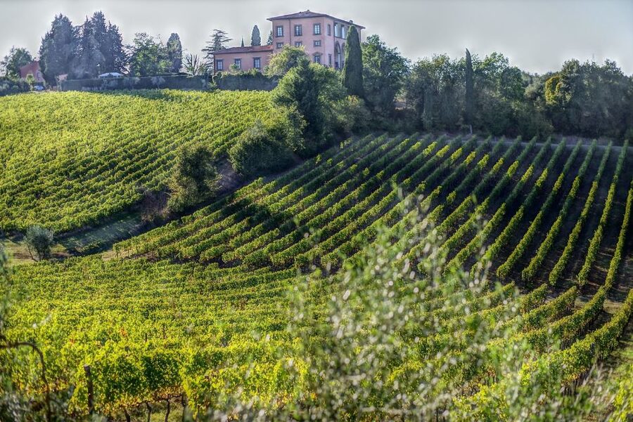 Rome: Private Tour to San Gimignano, Siena & Winery Visit - Practical details that shape the day