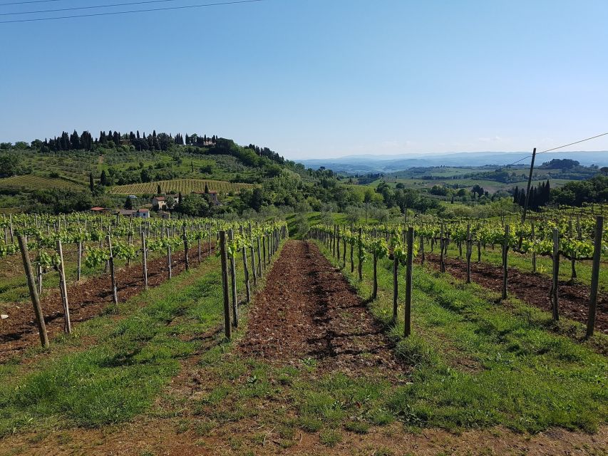 Rome: Private Tour to San Gimignano, Siena & Winery Visit - Who will enjoy this Tuscan day trip?