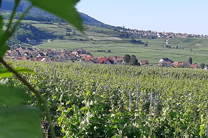Safari-Tour Villages and vineyard, 1/2 day afternoon - Kaysersberg adds a second village perspective
