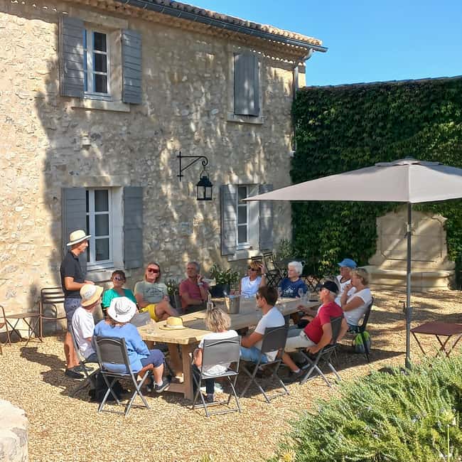 Saint-Didier: visit a vineyard & taste organic wines - What makes this vineyard visit worth your time