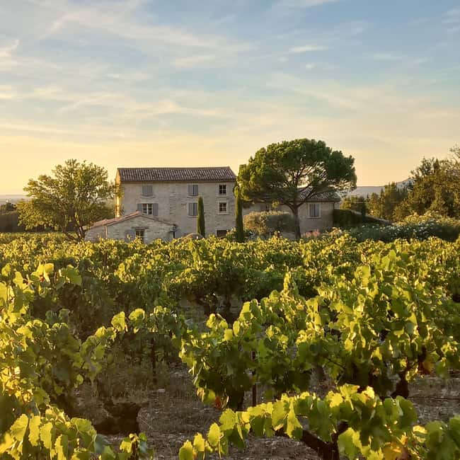 Saint-Didier: visit a vineyard & taste organic wines - Arriving at Domaine du Chat Blanc near Mont Ventoux