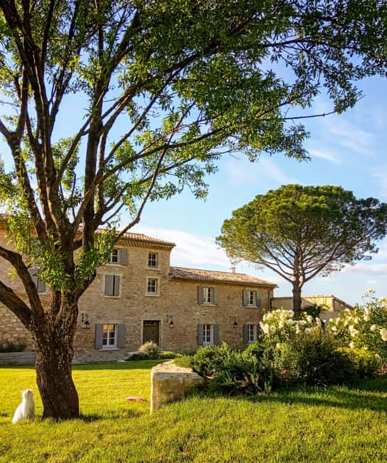 Saint-Didier: visit a vineyard & taste organic wines - Syrah, Grenache, and the organic growing method