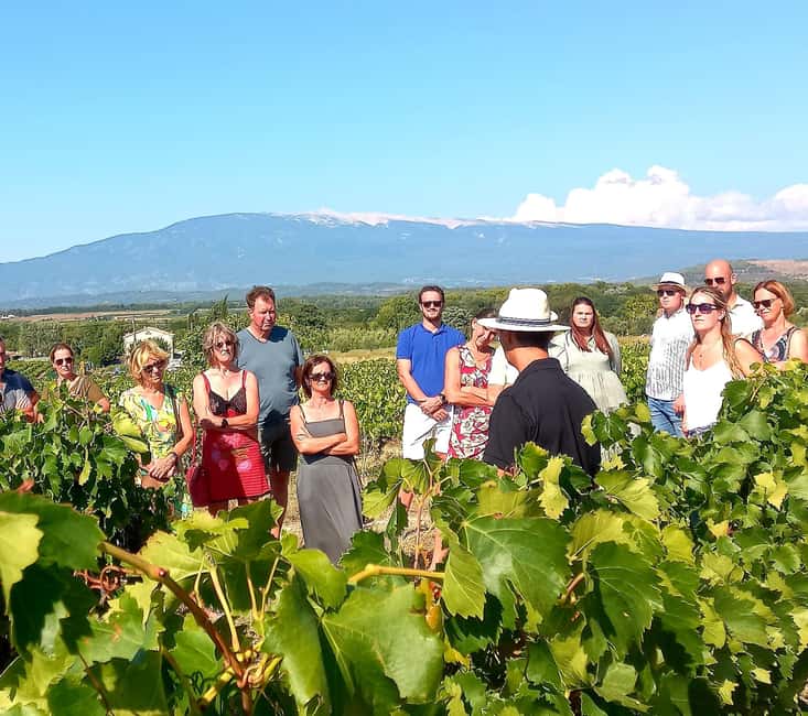 Saint-Didier: visit a vineyard & taste organic wines - What makes the three wines interesting