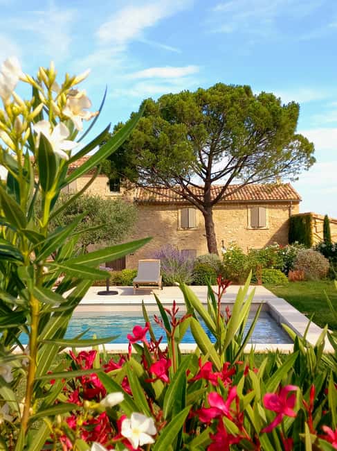 Saint-Didier: visit a vineyard & taste organic wines - The private-group format and the pace of the visit