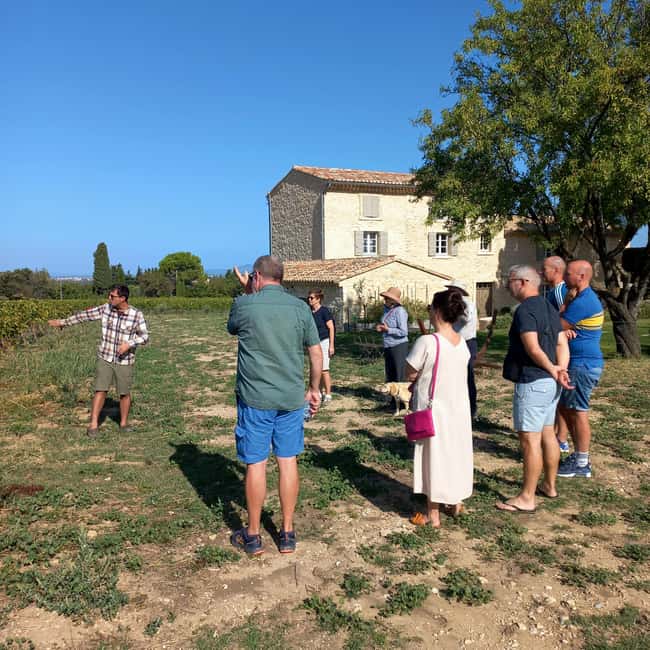 Saint-Didier: visit a vineyard & taste organic wines - Practical tips before you go