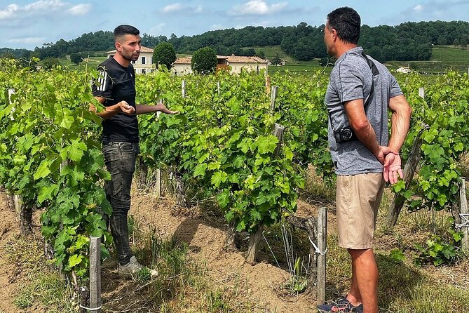 Saint-Émilion: 2 hours - Visit of the vineyard, the cellar and tasting - Key points at a glance