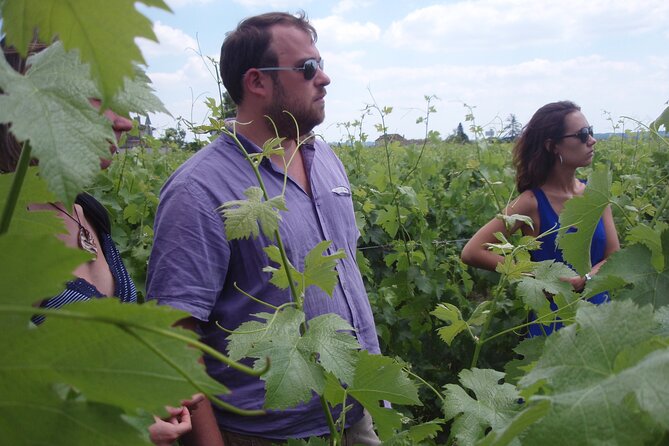 Saint-Émilion: 2 hours - Visit of the vineyard, the cellar and tasting - Starting at Château Haute-Nauve near Saint-Émilion