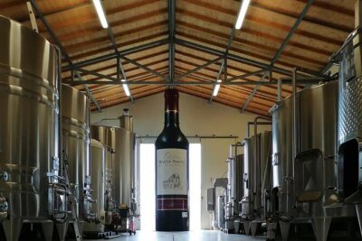 Saint-Émilion: 2 hours – Visit of the vineyard, the cellar and tasting