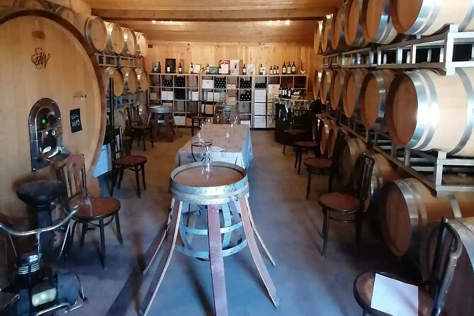 Saint-Émilion: 2 hours - Visit of the vineyard, the cellar and tasting - Entering the barrel cellar