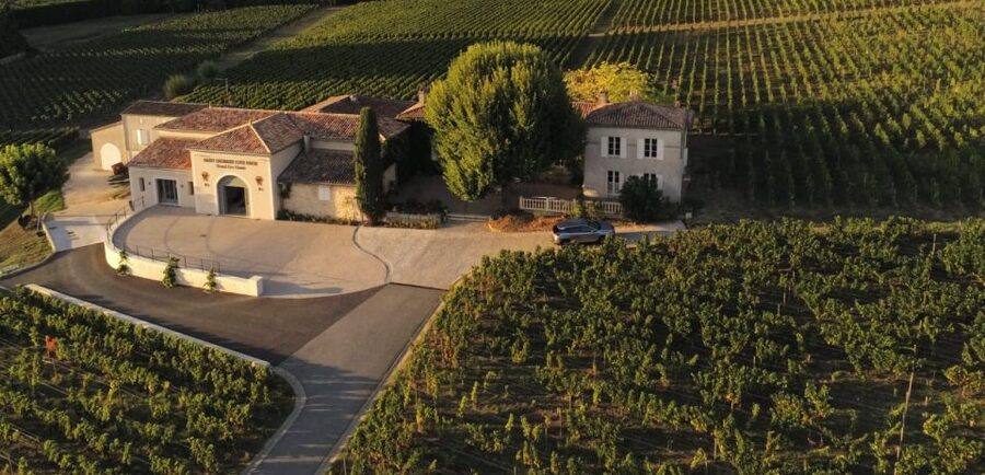 Saint-Émilion: Bordeaux Vineyard Tour and Wine Tasting - Price, group size, and overall value