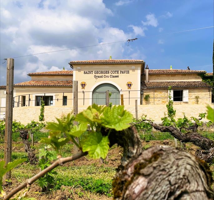 Saint-Émilion: Bordeaux Vineyard Tour and Wine Tasting - Who should book this Saint-Émilion tasting?