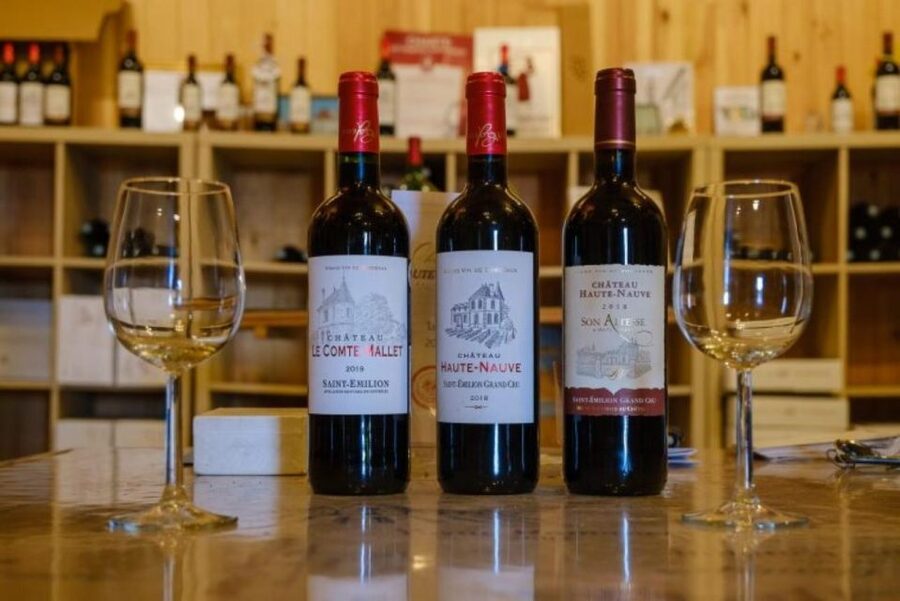 Saint-Émilion: Family Vineyard Visit with Wine Tasting - Key points at a glance