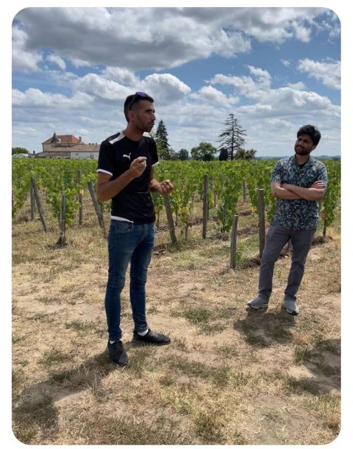 Saint-Émilion: Family Vineyard Visit with Wine Tasting - Price, timing, and group size
