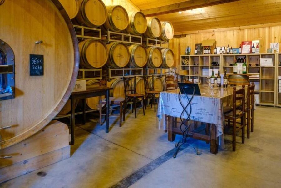 Saint-Émilion: Family Vineyard Visit with Wine Tasting - Who will enjoy this tour most?