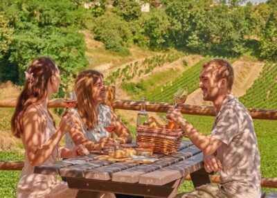 Saint-Emilion: Grand Cru Classé Guided Winery Visit & Picnic