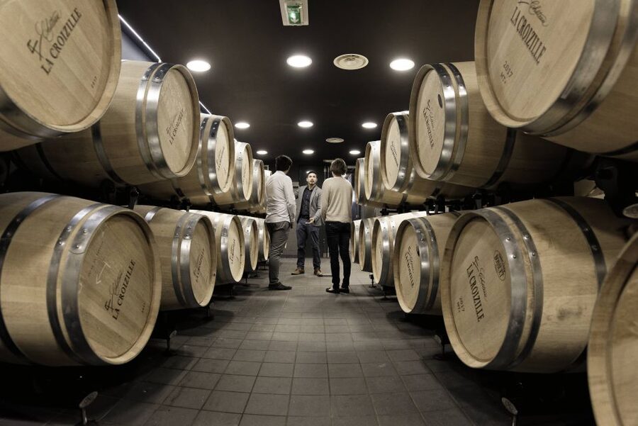 Saint-Émilion: Grand Cru Classé Winery Visit and Tasting - From vines to aging, the guide fills in the gaps